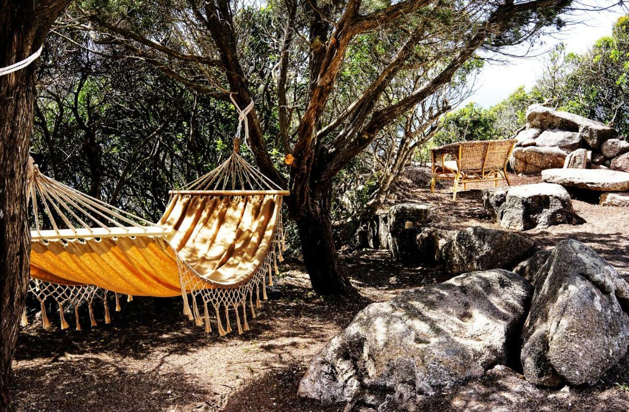 Villa Elena B&B experience Santa Teresa di Gallura Esterno foto